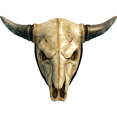 Cráneo del Desierto