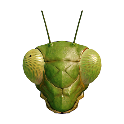 Sphodromantis