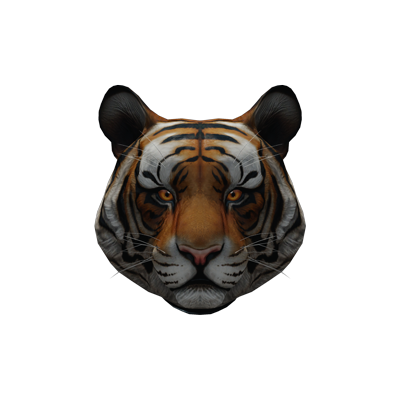 Panthera Tigris