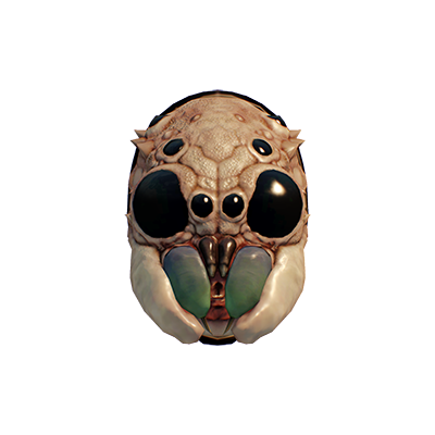 Tarántula