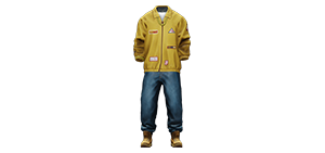 Heistmaster Flash