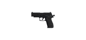 Pistola Signature
