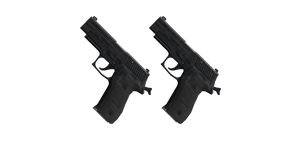 Pistolas Signature Duales