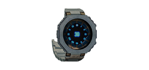 Laser Chronometer